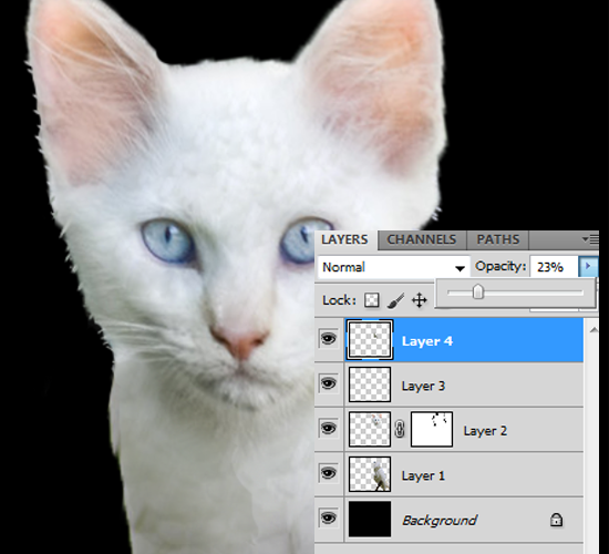 How to Merge Photos in Photoshop 11