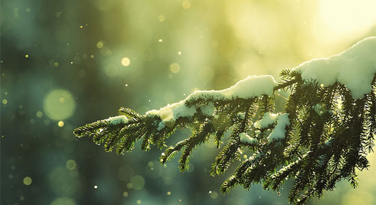 Winter snow fall Facebook Cover - timelinecoverbanner.com