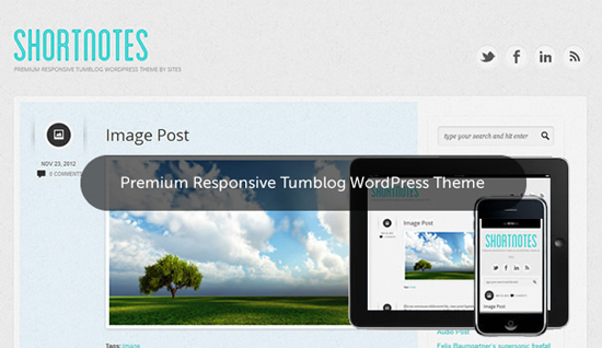 50 Free WordPress Templates You Can't Afford to Pass by 21