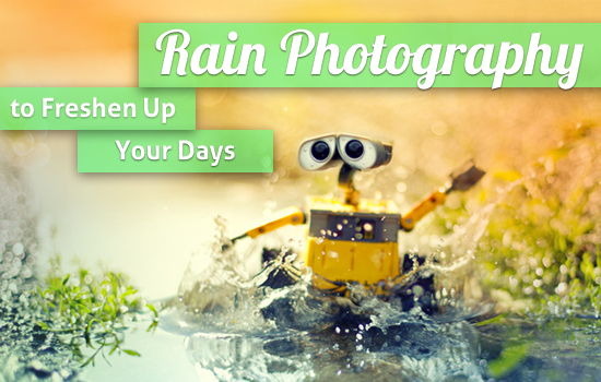 Rain Photography to Freshen Up Your Days