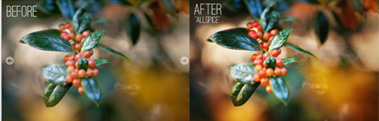 SPICED CIDER PHOTOSHOP ACTIONS