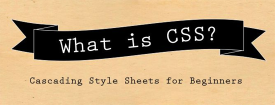 HTML for Beginners: CSS (Part 9)