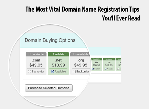 The Most Vital Domain Name Registration Tips You'll Ever Read