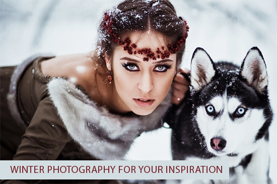Winter Photography for Your Inspiration