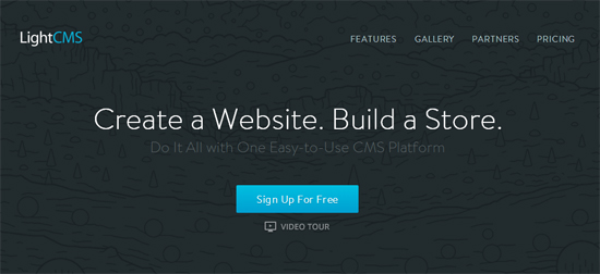 LightCMS - the Best Solution for Business