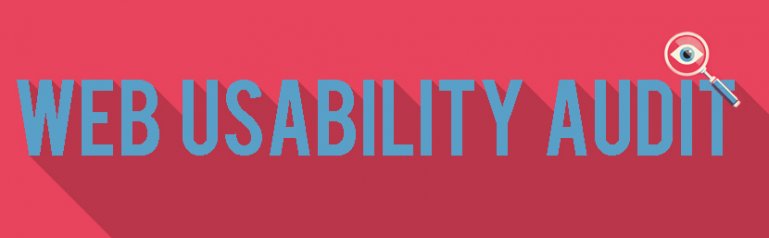 Web Usability Audit