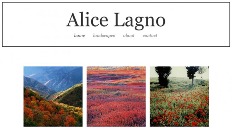 Let's Create a Photo Portfolio With WIX