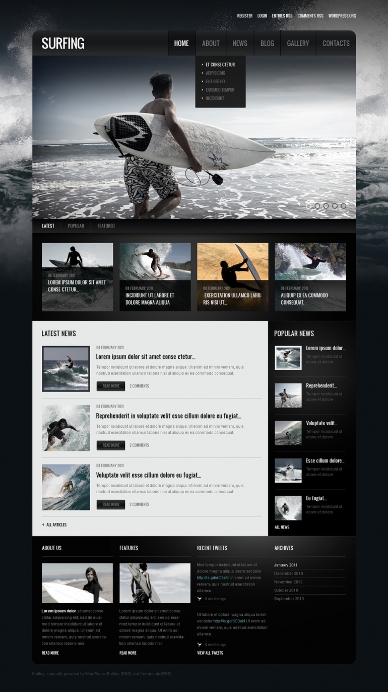 50 Motivating Sport WordPress Themes 47