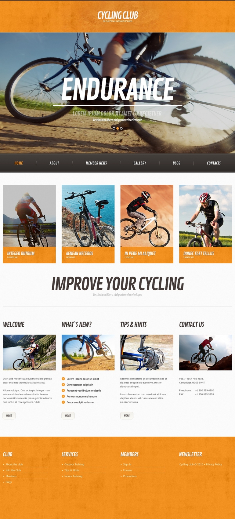 50 Motivating Sport WordPress Themes 43