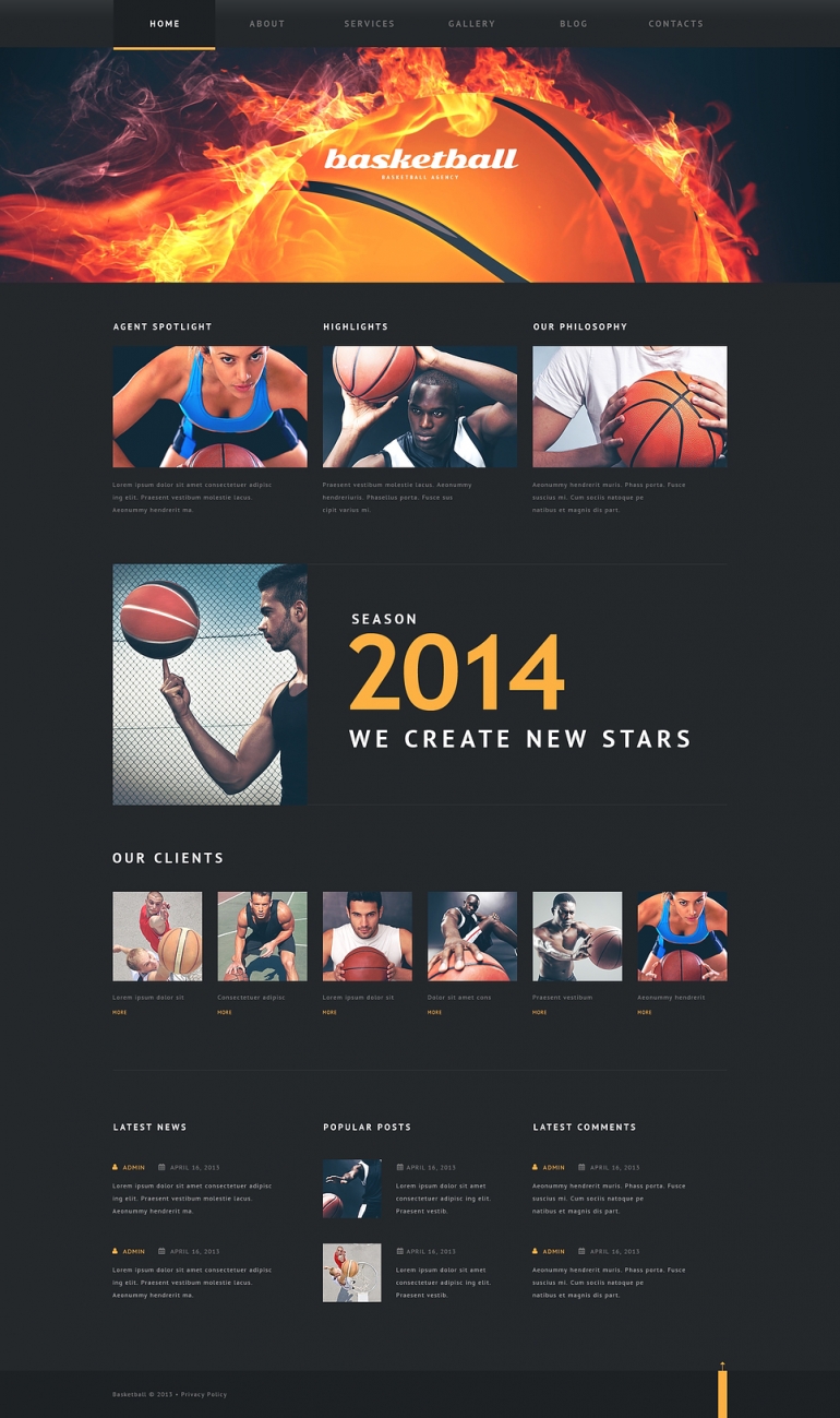 Basketball Put on Fire WordPress Theme