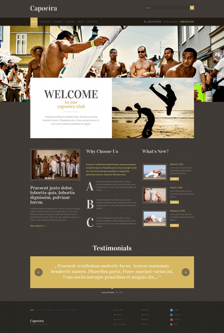 50 Motivating Sport WordPress Themes 22