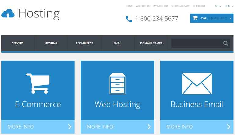 hosting web template