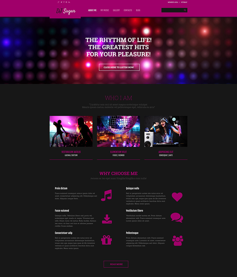 the-best-music-wordpress-themes-for-2016-web-template-customization