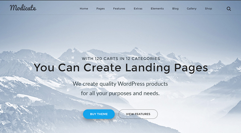 Modicate: All-In-One Website Template With Premium Functionality Inside