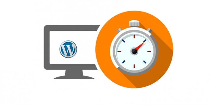 The Need for Speed - Choosing the Right WordPress Design, Plugins and Hosting
