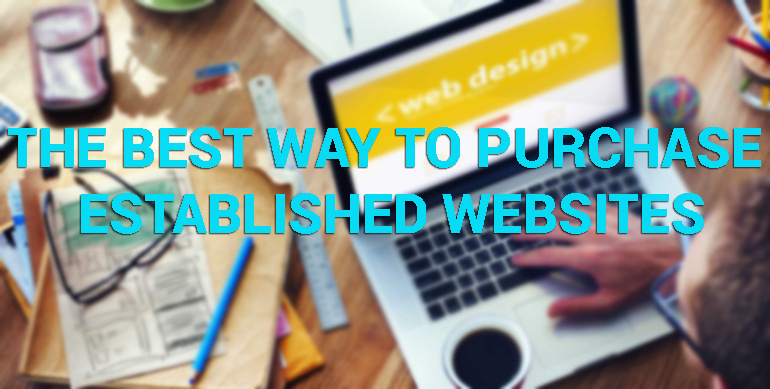 The Best Way to Purchase Established Websites