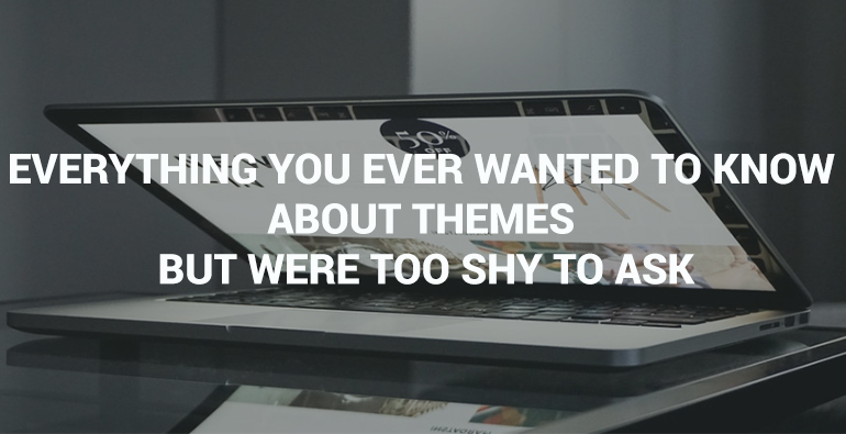 Everything You Ever Wanted to Know About Themes But Were Too Shy to Ask