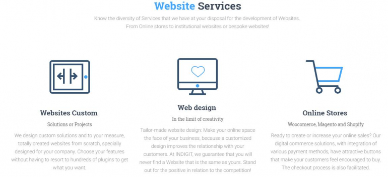 Are You Looking for a Professional Web Design or a Cheap Web? 2