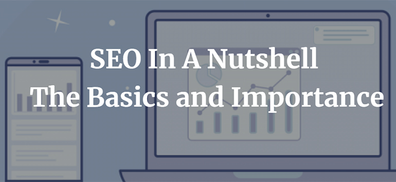 SEO In A Nutshell – The Basics and Importance