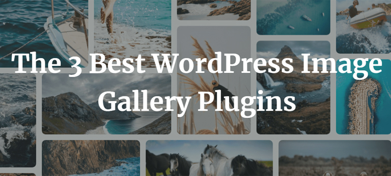 The 3 Best WordPress Image Gallery Plugins