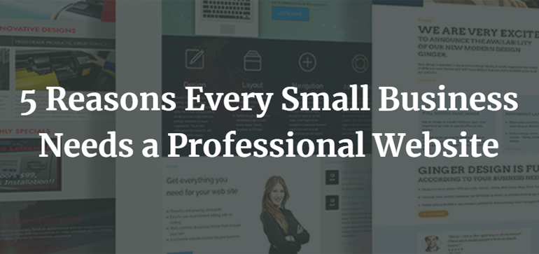 5 Reasons Every Small Business Needs a Professional Website