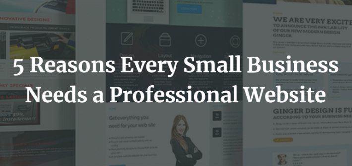 5 Reasons Every Small Business Needs a Professional Website