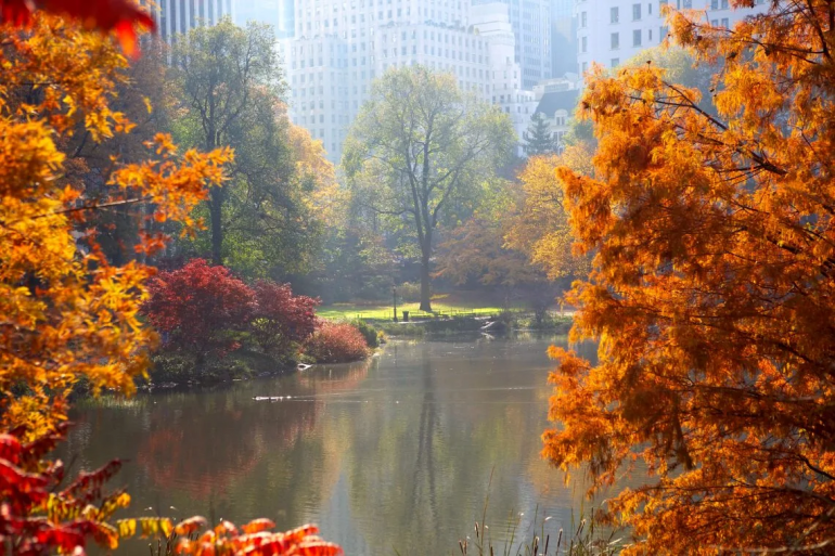 Celebrate the Beauty of Autumn with These 10 Photo Collections 2
