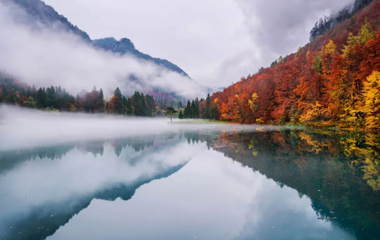 Celebrate the Beauty of Autumn with These 10 Photo Collections 5