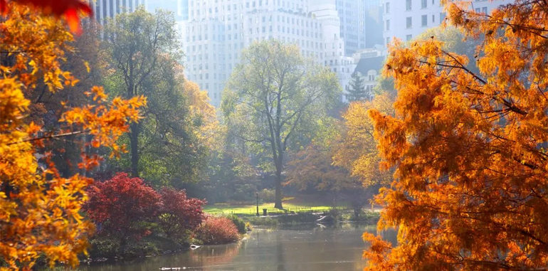 Celebrate the Beauty of Autumn with These 10 Photo Collections