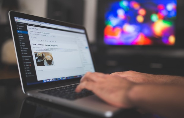 5 WordPress Essentials for Your Online Business