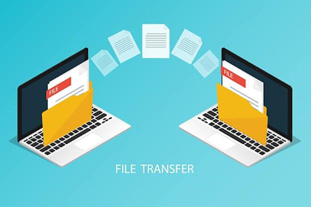 Data transfer from WooCommerce to Shopify: What nuances should be taken into account?