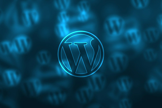 5 Reasons Why Your WordPress Website Maintenance is Important