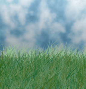 Grass & Sky Effect