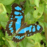 Photo Manipulation - Coloring