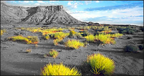 To Black and White, Then back