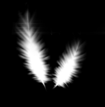 Feathers