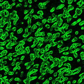 How to Create Green Swirls