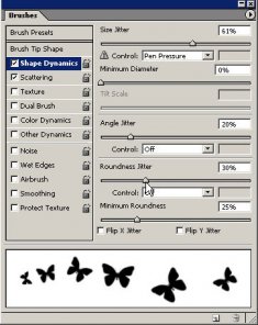 Asian Butterfly/Vector Design