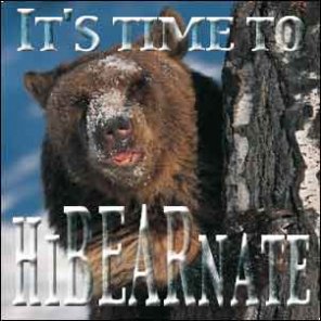 Getting Ready for Winter