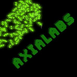 Electron Microscope Bacteria