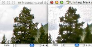 A New Painterly Effect