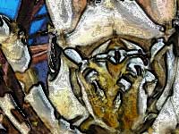 Detailed Watercoulor Painting