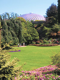 Automatic Saturation