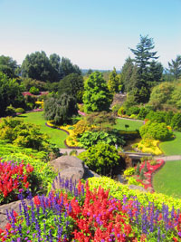 Increasing Saturation Using a Layer Mask