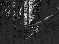 Increasing Exposure Using a Screen Mask