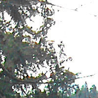 Removing Purple Fringe