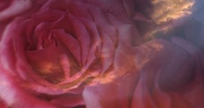 Use Layer Masks to Help Blend in Images