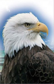 Morphing blending images