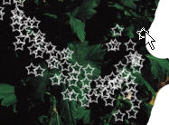 Discover the Eraser Tool