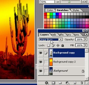Discover Gradient Filling